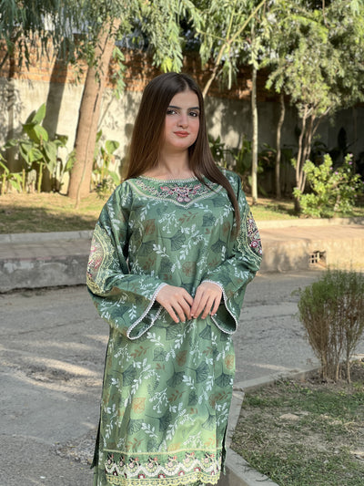 Wafa embroidery 2 peice dress